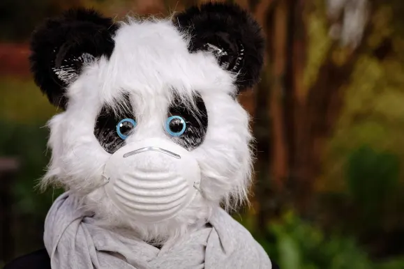 HeySpin Kasino Podpora